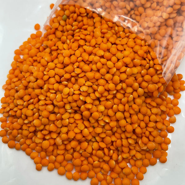 LED LENTILS /レンズ豆１kg