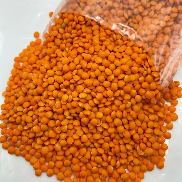 LED LENTILS /レンズ豆５００g