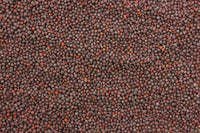 MUSTERD SEED /マスタードシード ５００g