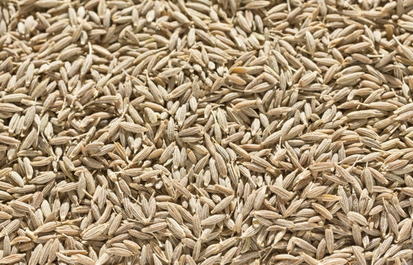 CUMIN SEED /クミンシード１KG